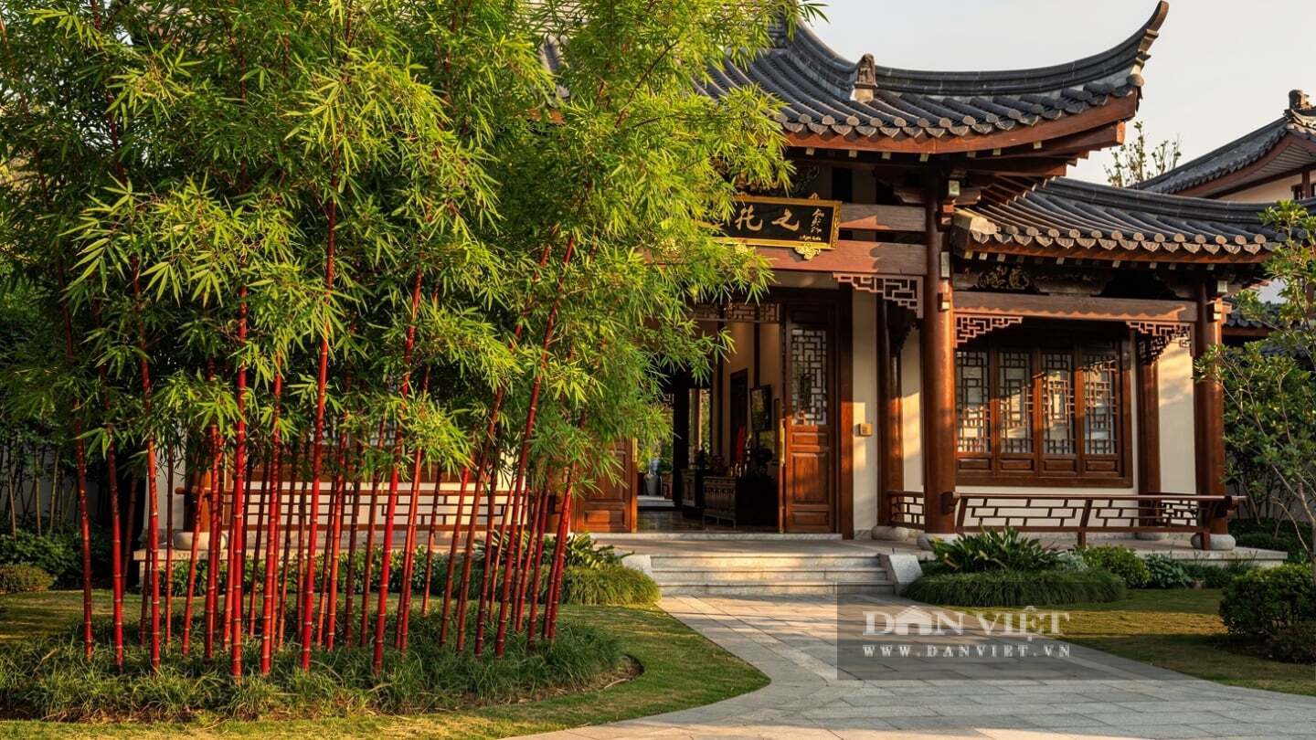 Trong phong thủy, tre là tấm bình phong đầu tiên của gia đình