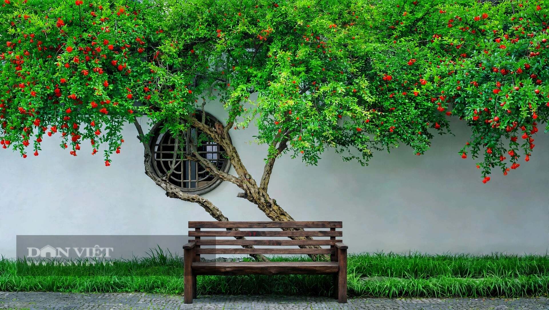 Cứ cho cây cảnh đứng ở nơi nhiều nắng nhất trong vườn