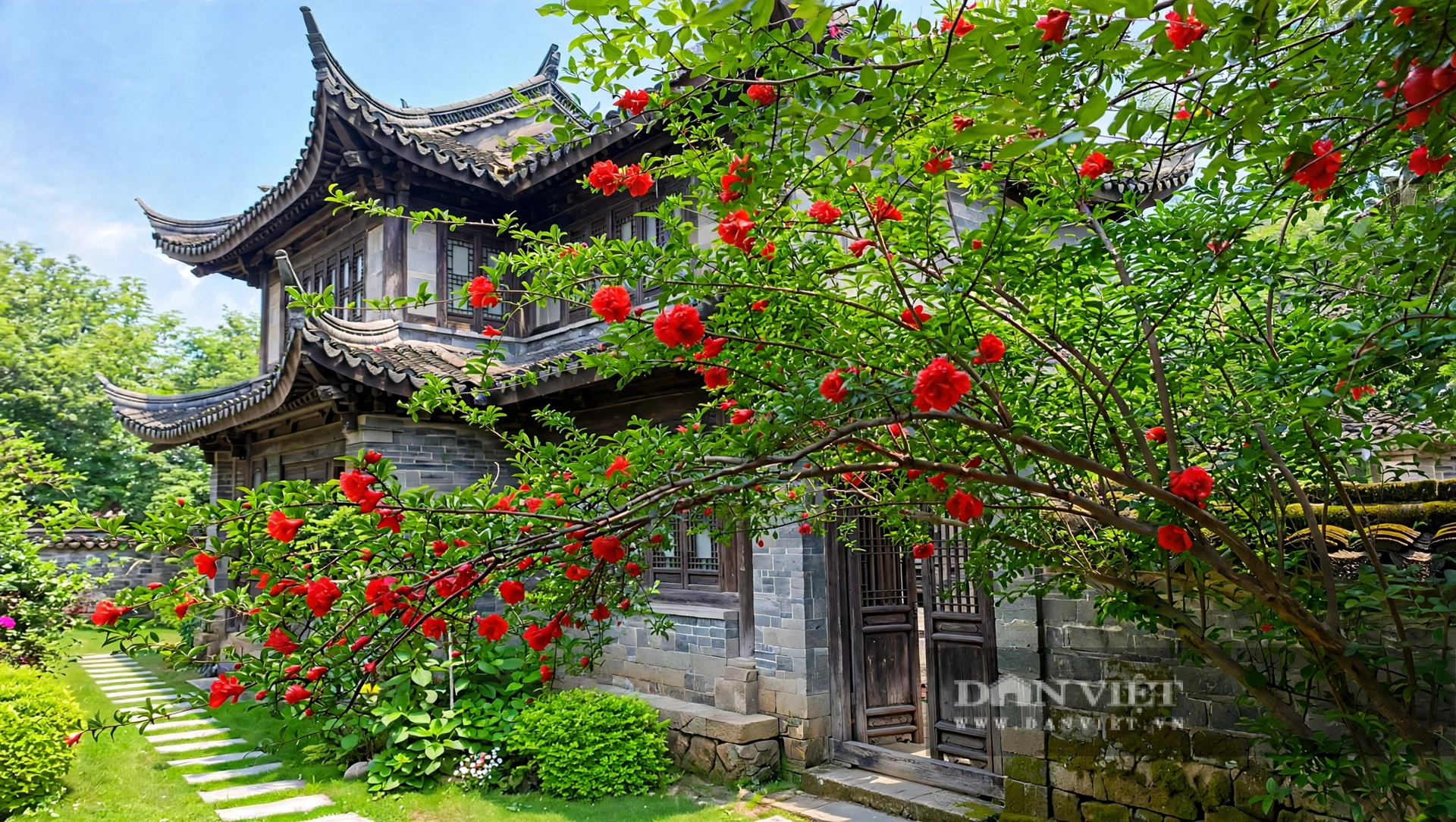 Nhìn cây lựu nở hoa, người ta thấy cả khu vườn như bừng tỉnh