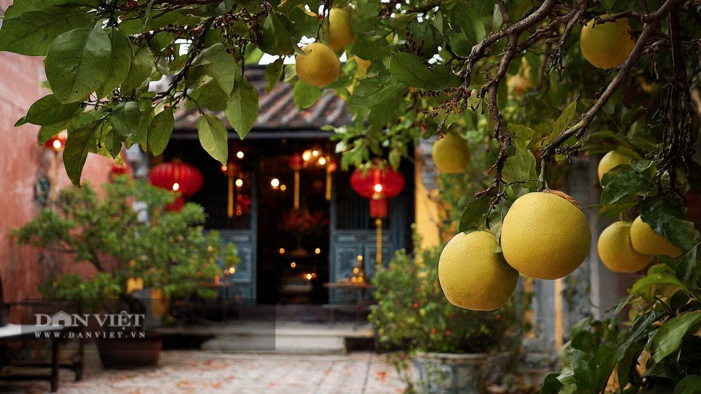 Cây cảnh cho bạn đủ cả bốn mùa