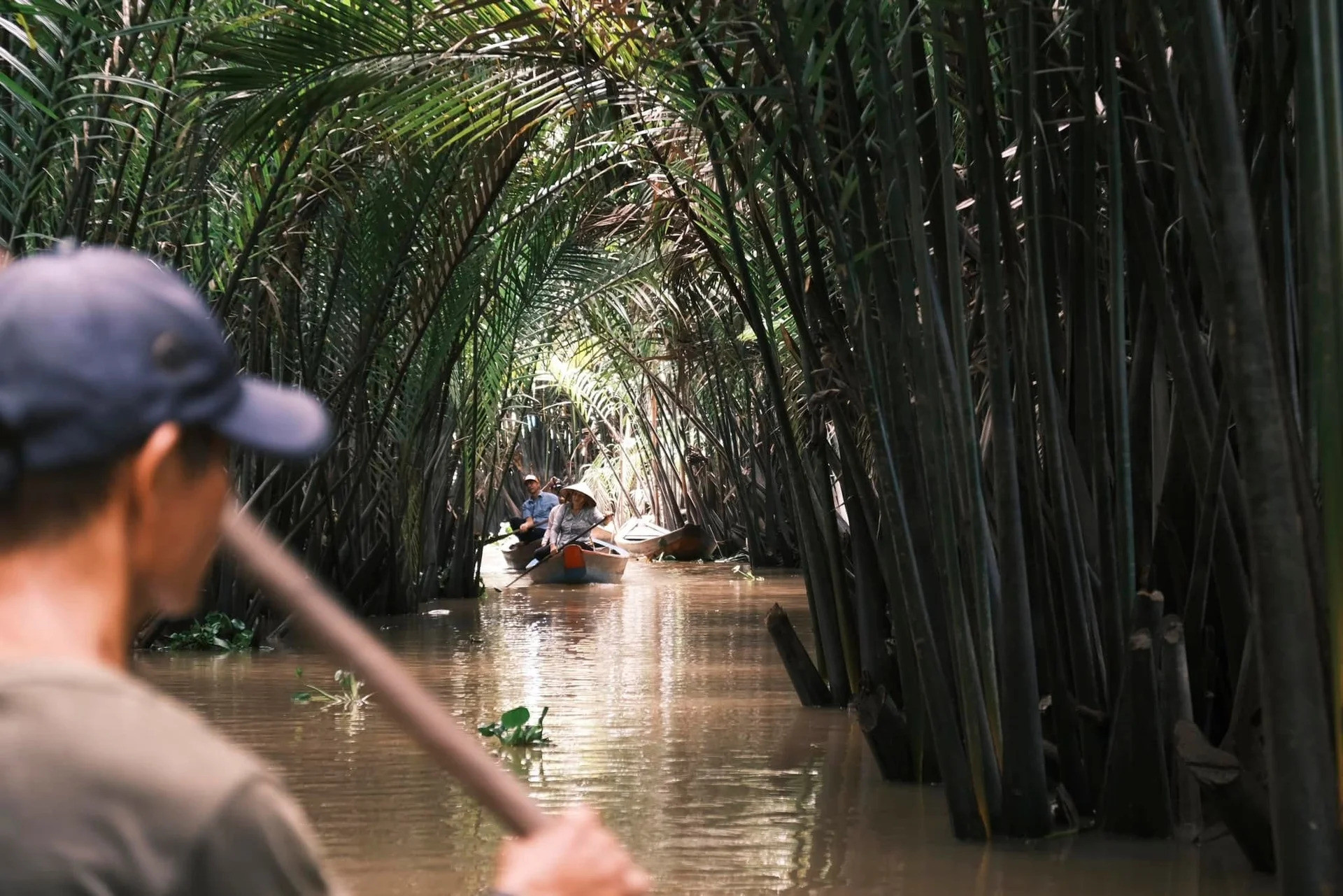 Cồn Thới Sơn (hay còn gọi là cồn Lân) là cù lao lớn nhất trong bộ tứ linh Long - Lân - Quy - Phụng trên sông Tiền. Ảnh: Thành Đạt Phan