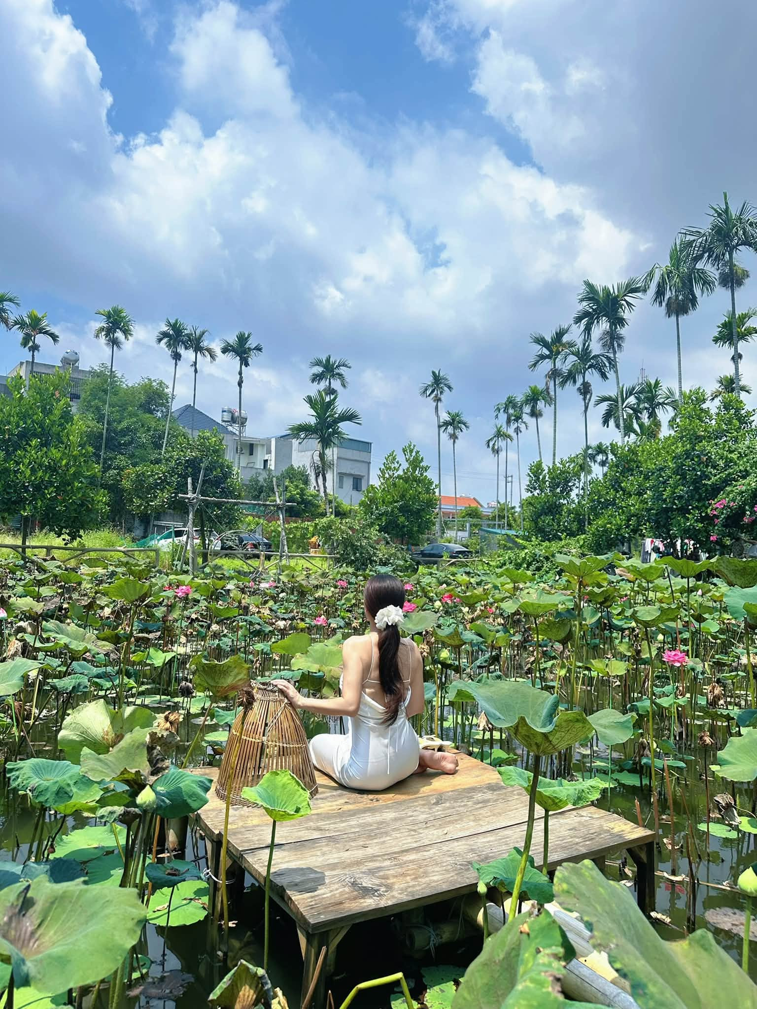 Du Khách Chụp Hình Ở Đầm Sen. Ảnh: Dương Kim Chi