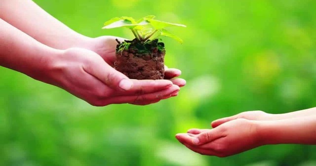 Tháng 7 âm lịch là thời điểm được dân gian gọi là tháng cô hồn, gắn liền với nhiều phong tục tập quán, vừa mang màu sắc tín ngưỡng, vừa phản ánh tinh thần uống nước nhớ nguồn của người Việt.