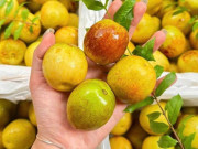 Tin tức - Hương vị của hồng táo tươi có gì đặc biệt mà khiến nhiều người tiêu dùng "đam mê" đến vậy?