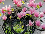 Eva tám - Giờ sinh Âm lịch của người có hậu vận an nhàn, sung túc