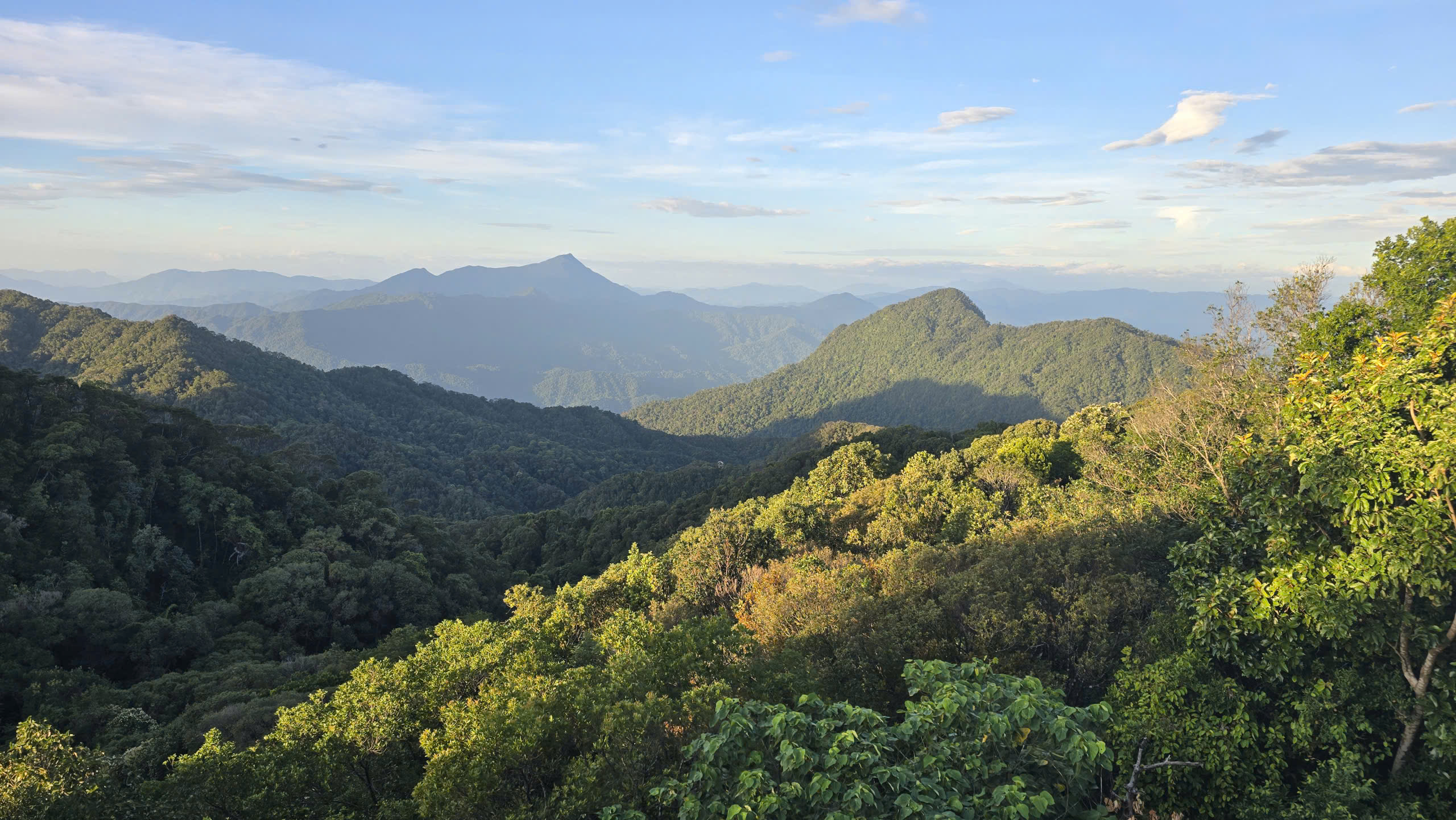 Với đặc trưng là dải rừng tự nhiên liên tục từ vùng núi cao xuống gần biển, Bạch Mã có vai trò quan trọng trong bảo tồn thiên nhiên, phòng hộ đầu nguồn, điều hòa khí hậu, bảo vệ nguồn gen quý hiếm và phát triển du lịch sinh thái bền vững. Ảnh: V.Linh.