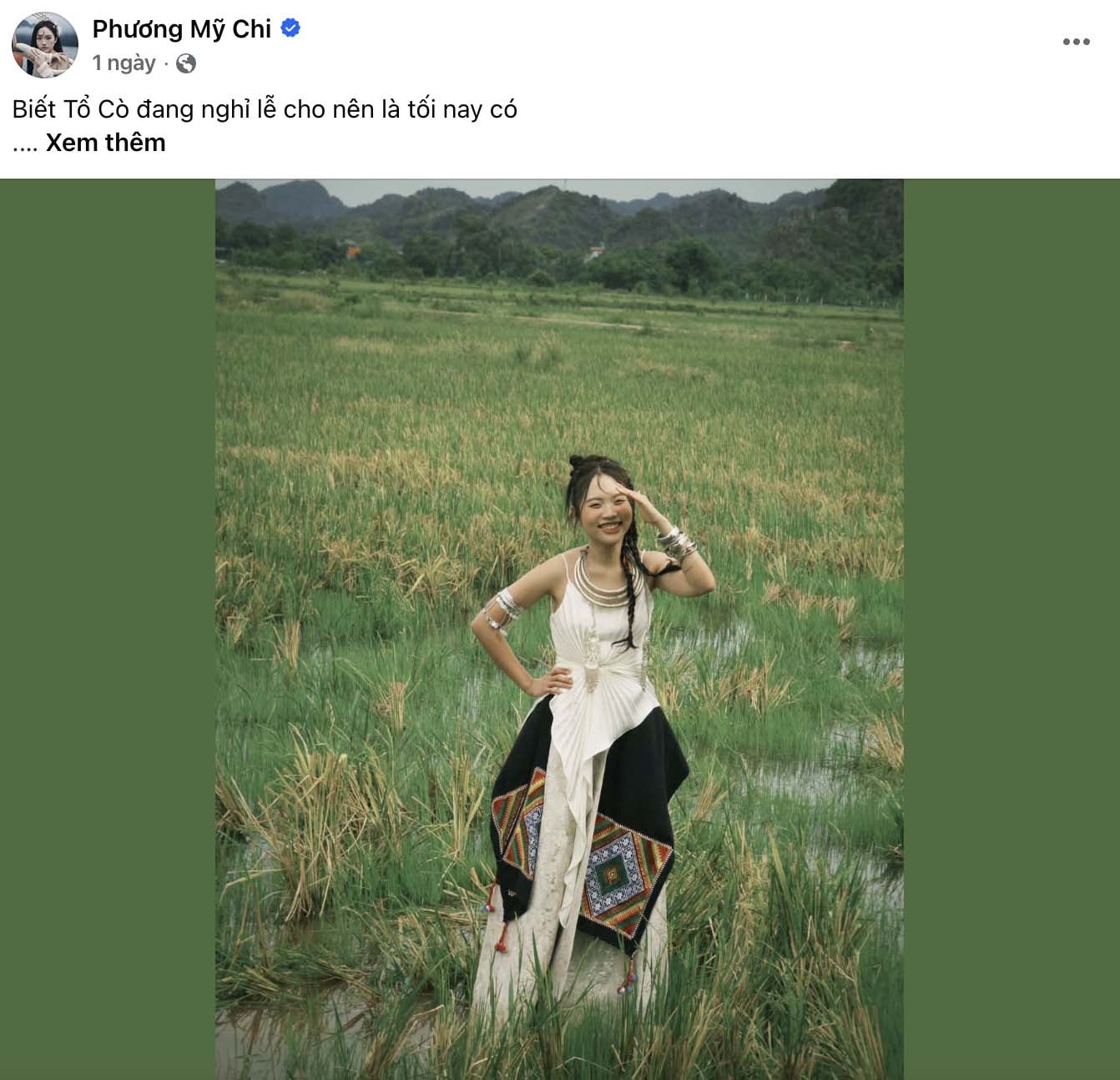 Phương Mỹ Chi diện chiếc váy với điểm nhấn chân váy có họa tiết khăn Piêu của người Thái. (Ảnh: FBNV)