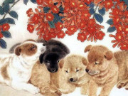 Eva tám - Top con giáp nam nổi tiếng chiều vợ, thương con