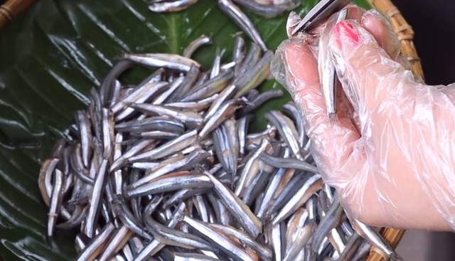 Cá cơm nhỏ nhưng giàu dinh dưỡng.