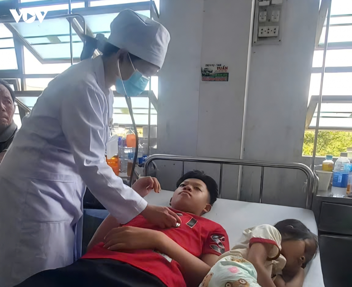 254 người ở An Khê - Gia Lai bị ngộ độc thực phẩm sau khi ăn bánh mì nhiễm vi khuẩn Salmonella spp.