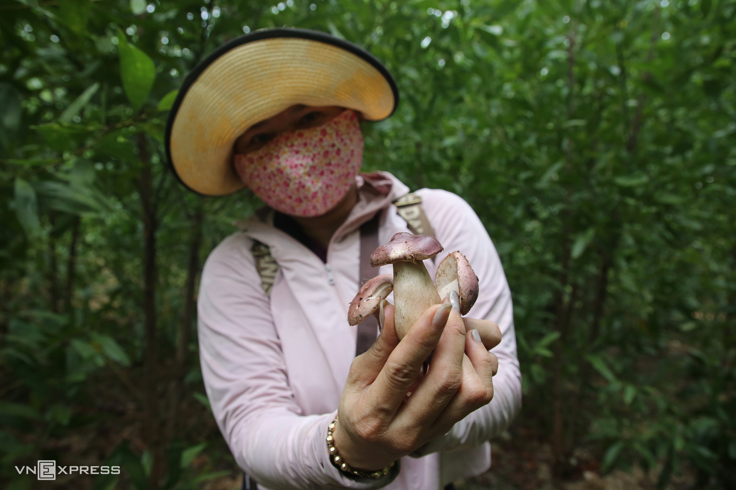 Hái amp;#34;lộc trờiamp;#34; dưới rừng tràm - 1