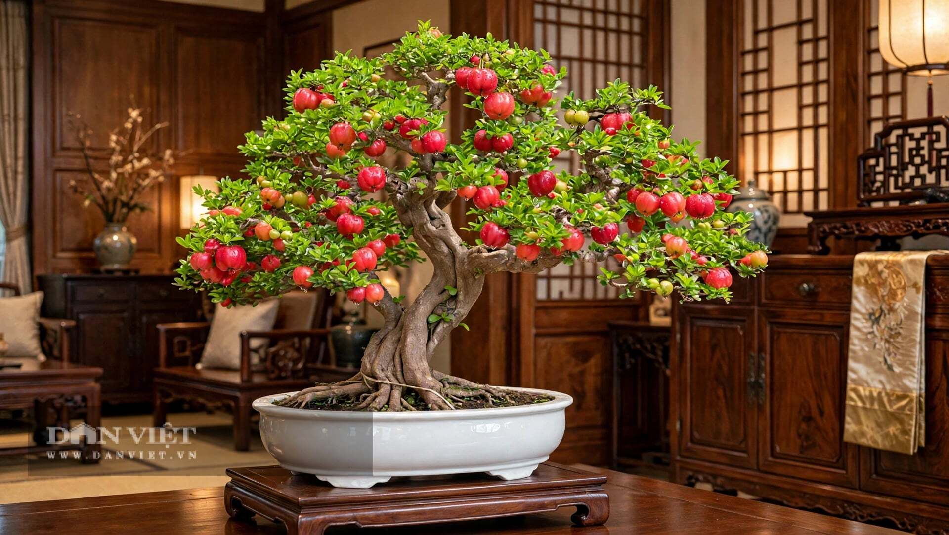 Cây cảnh từng mọc hoang dại