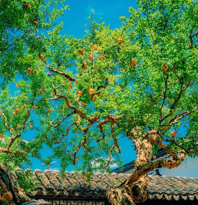 Khi bước vào tuổi trung niên, vận trình của người sinh ngày 7 Âm lịch được cho là có nhiều chuyển biến tích cực. Ảnh minh họa