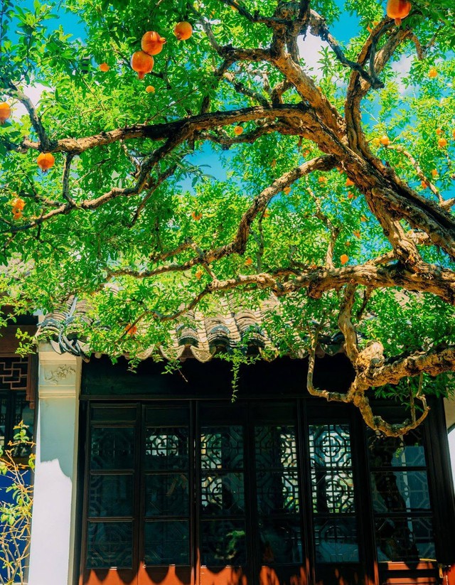 Đường tài lộc của người sinh ngày 9 Âm lịch được cho là có xu hướng tích lũy dần theo thời gian. Ảnh minh họa