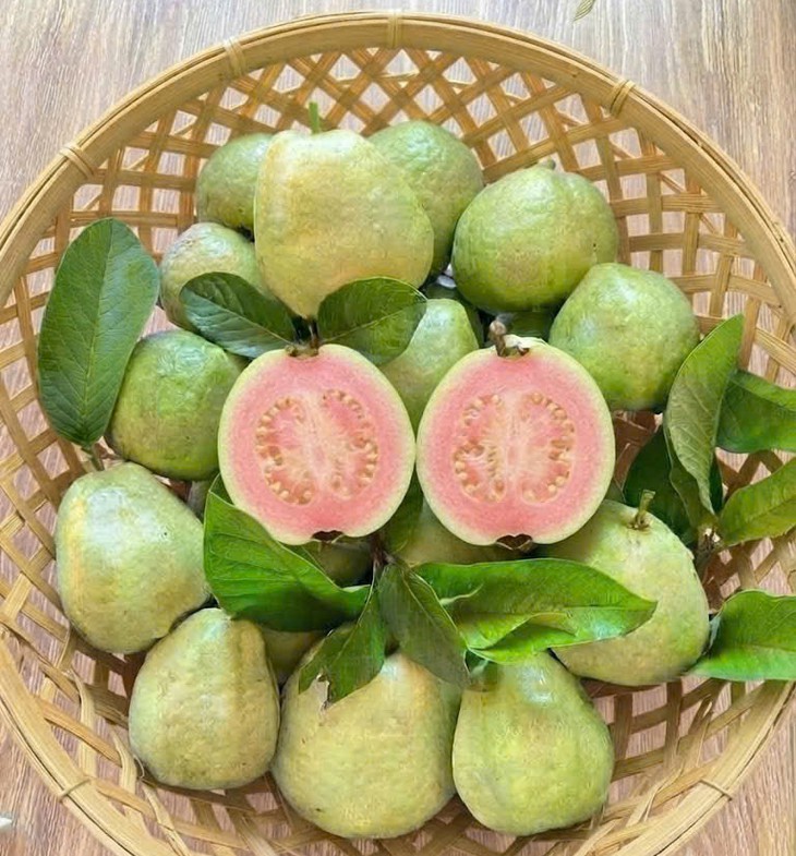 Quả ổi chứa nhiều vitamin C, kali, đồng thời nổi bật với hàm lượng chất xơ và một số dưỡng chất khác. 