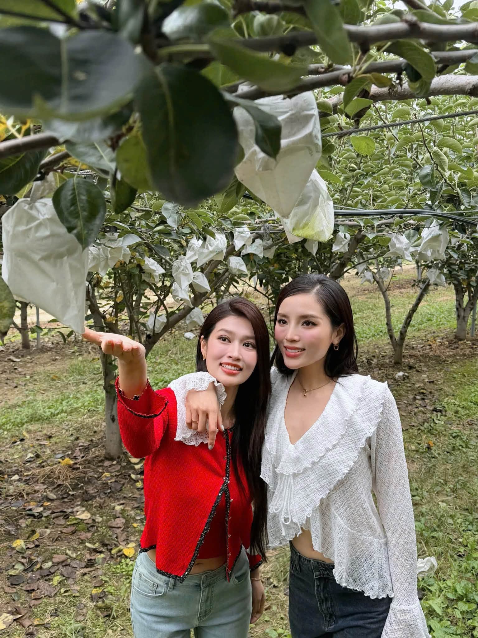 Đoàn Thiên Ân gây chú ý khi vừa chia sẻ những hình ảnh trong chuyến đi Hàn Quốc cùng với Nguyễn Cao Kỳ Duyên. 