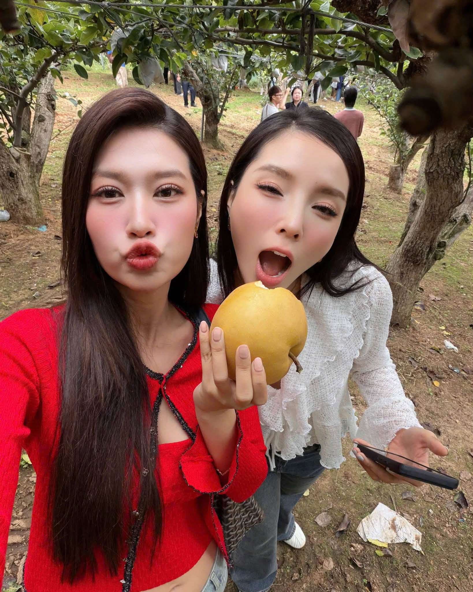 Cả hai dành thời gian tham quan một vườn lê, ghi lại nhiều khoảnh khắc đời thường và thoải mái tương tác với nhau.