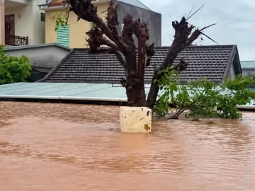 Mưa lũ bủa vây nhiều vùng Quảng Trị, hàng trăm nhà dân chìm trong biển nước