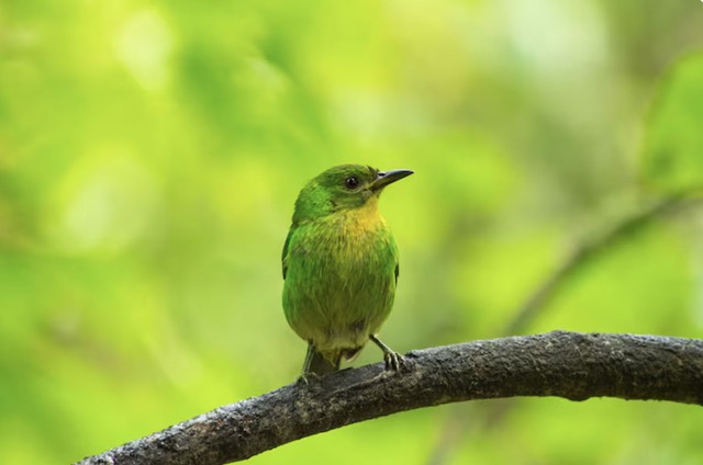 Người sinh tháng 12 Âm lịch cũng thường có xu hướng sống trọng chữ tín. Họ không dễ dàng bỏ mặc người khác khi đã coi đối phương là bạn bè hoặc người thân. Ảnh minh họa