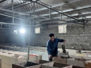 Tin tức - Con đặc sản này "nhịn uống, ăn tiết kiệm", nuôi thành công ở một xã mới của Nghệ An, tất nhiên ông chủ phát tài rồi