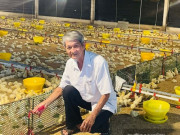 Tin tức - Một ông nông dân Đồng Tháp có doanh thu 35 tỷ/năm nhờ nuôi gà kiểu này đây
