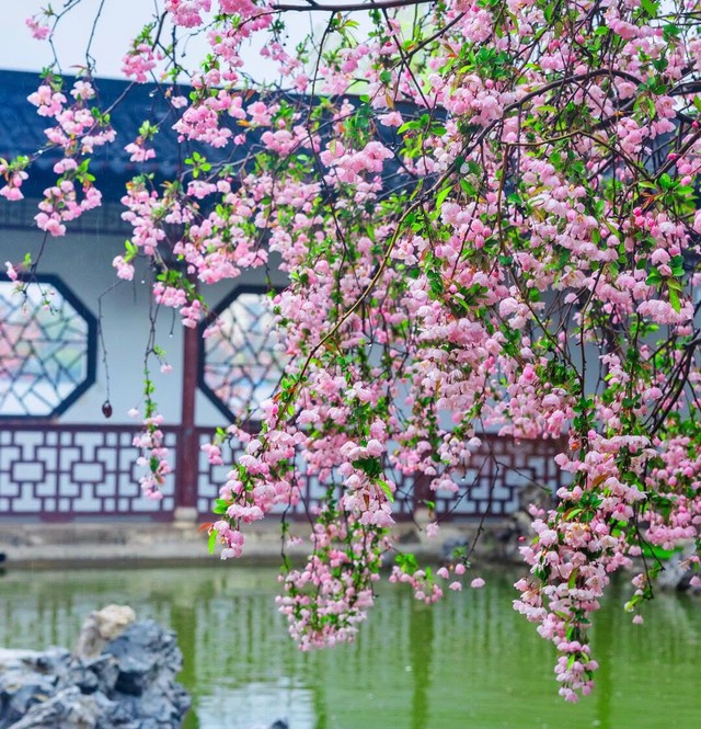 Người sinh vào giờ Dần Âm lịch thường biết lựa lời, biết duy trì mối quan hệ và tạo cảm giác thoải mái khi trò chuyện. Ảnh minh họa