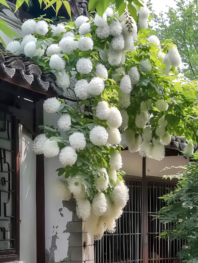 Điểm đáng chú ý ở những người sinh tháng 9 Âm lịch là dù đạt được thành công hay có lợi thế hơn người khác, họ vẫn giữ thái độ khá chừng mực. Ảnh minh họa
