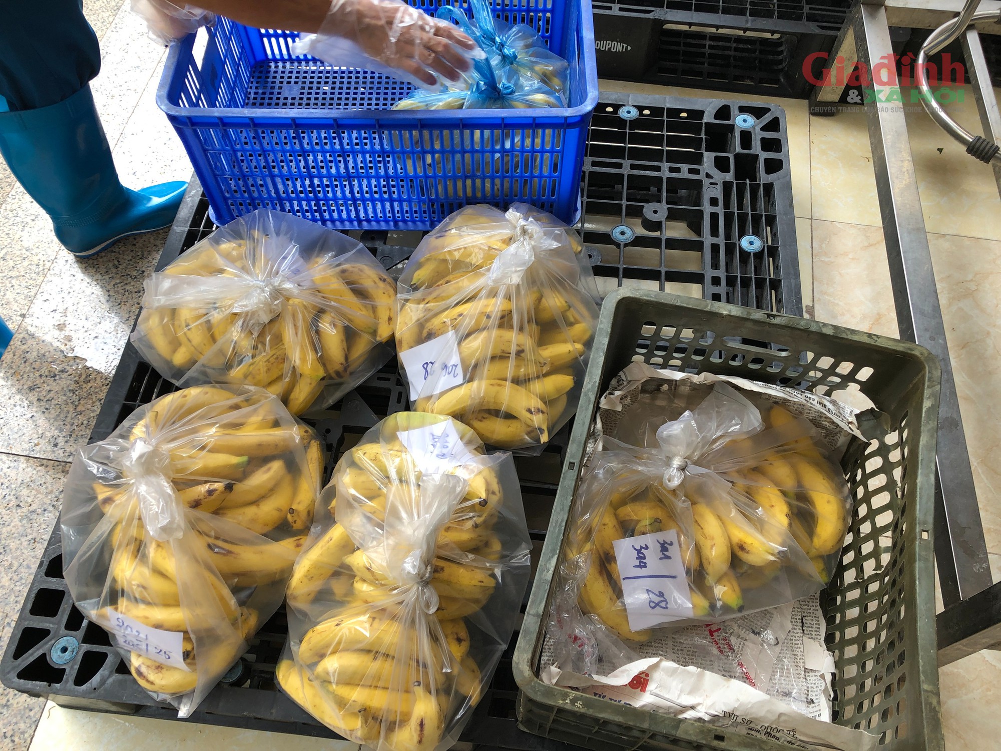 Bữa trưa ngày 24/9, suất cơm bán trú của học sinh trường Tiểu học Quảng Bị 1 có thịt kho trứng cút, thịt tẩm bột chiên, bắp cải xào, còn có món tráng miệng là chuối tiêu. 