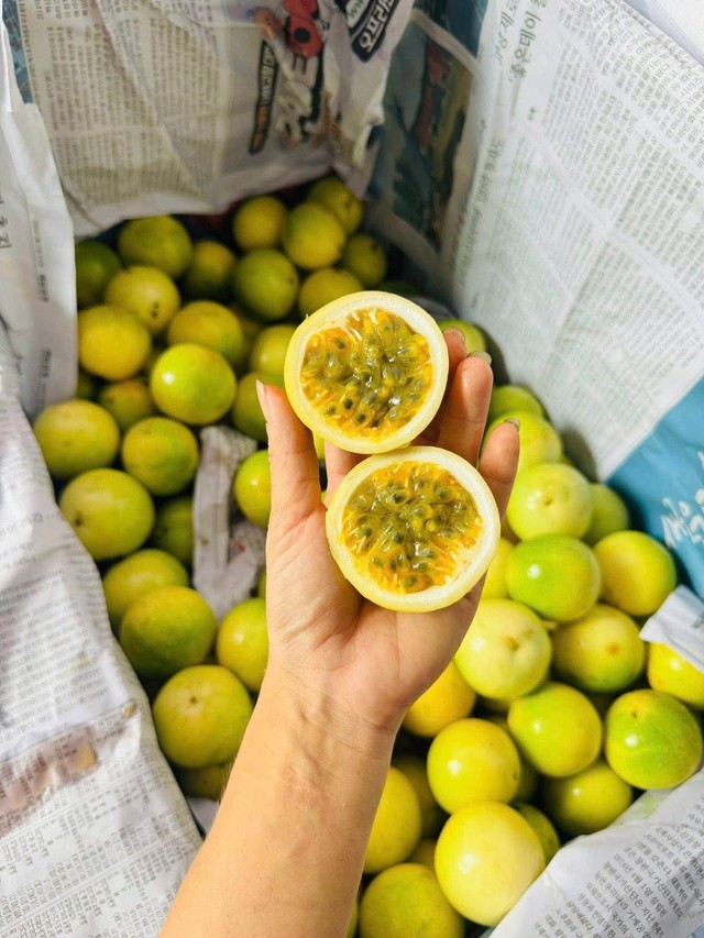 Không giống với các loại chanh dây truyền thống, loại quả này gây ấn tượng nhờ màu vàng óng đẹp mắt, hương thơm đặc trưng như ổi chín và vị ngọt thanh dễ chịu.