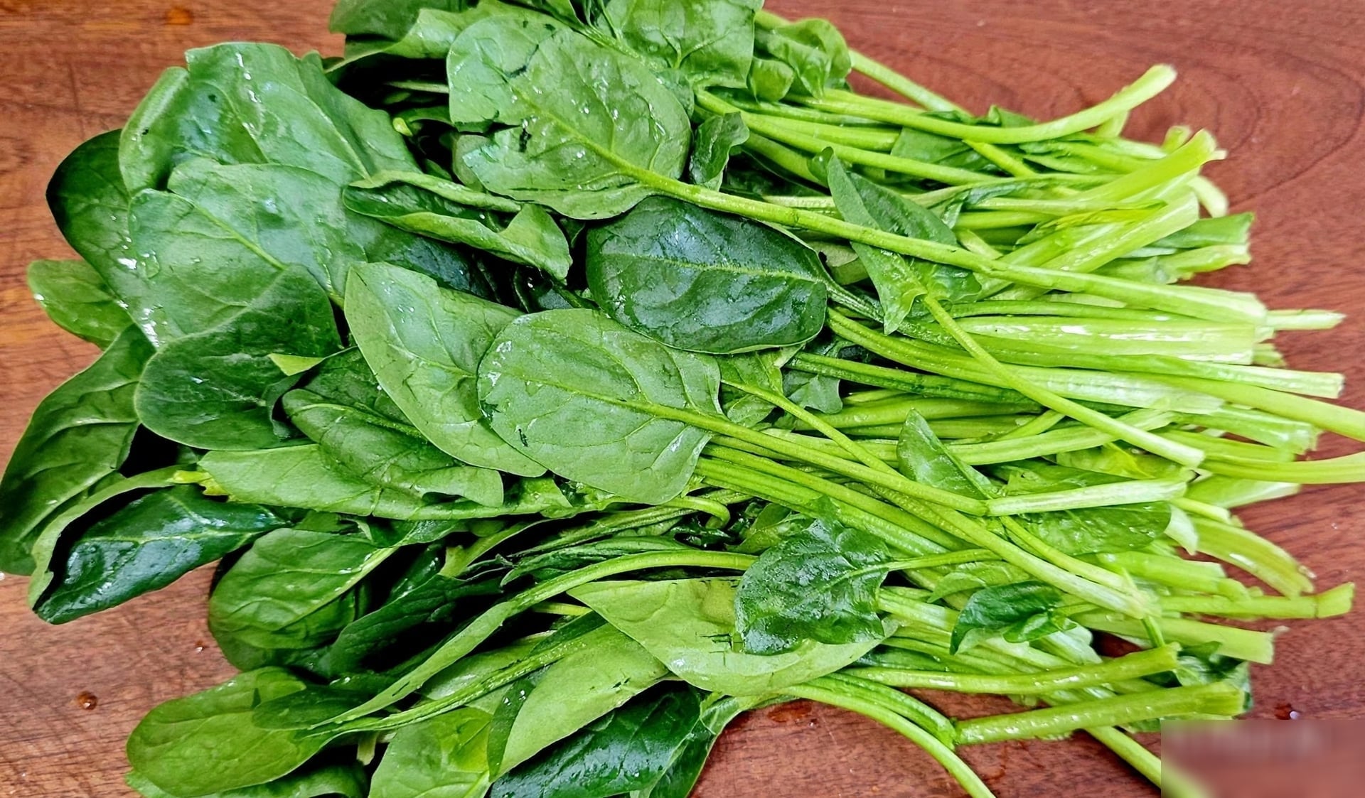 2 loại rau amp;#34;vàngamp;#34; nên ăn trong tháng 10, giúp dạ dày khỏe, đường ruột trơn tru, năng lượng tràn đầy - 4
