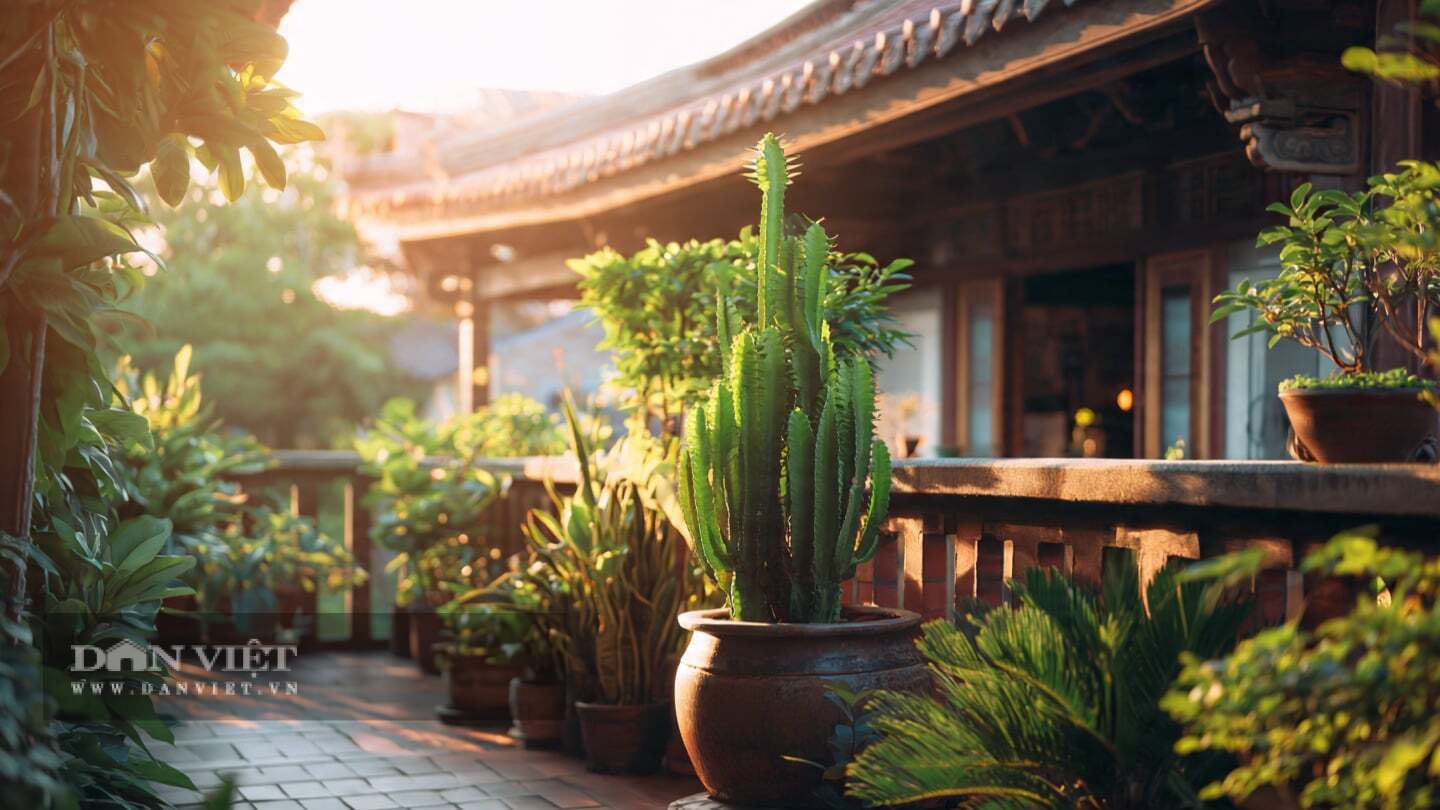 Ba cạnh sắc như ba lưỡi gươm chĩa thẳng lên trời