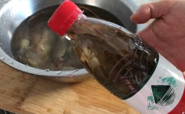 Bảo quản tôm đừng cho luôn vào tủ lạnh, thêm bước cách ly thứ này, tôm để cả năm vẫn tươi như mới mua - 2