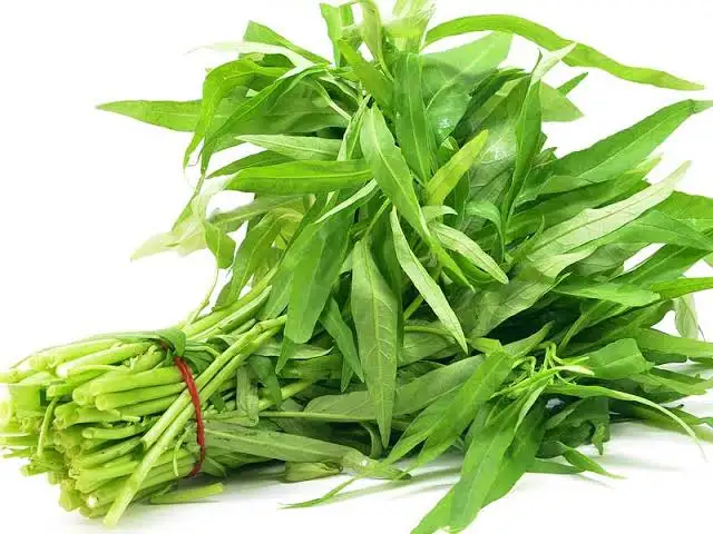 Ăn mãi mới biết rau này giàu canxi, đem luộc, làm nộm hay xào đều ngon giòn lại bổ, được ưa chuộng vào mùa hè - 1