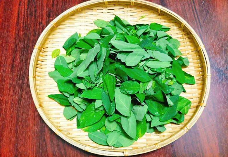 Cây này chỉ ăn lá, vitamin C gấp rất nhiều lần rau thường, nấu canh hay luộc đều ngon, được ưa chuộng vào mùa hè - 3