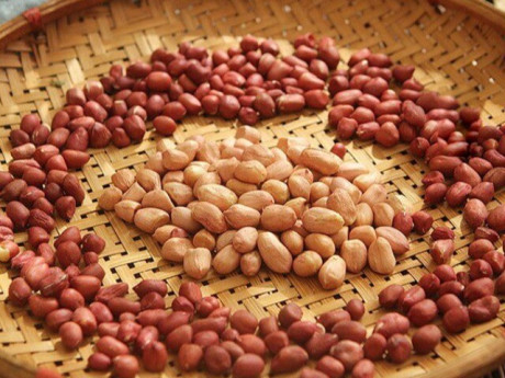 Nên chọn lạc đỏ hay trắng thì ngon? Biết sự thật này bạn sẽ không còn mua nhầm nữa