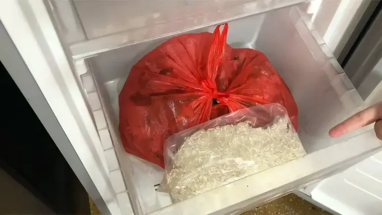 Gạo bị mọt đừng đem phơi nắng nữa, làm gấp 4 mẹo này, mọt không bao giờ xuất hiện - 2