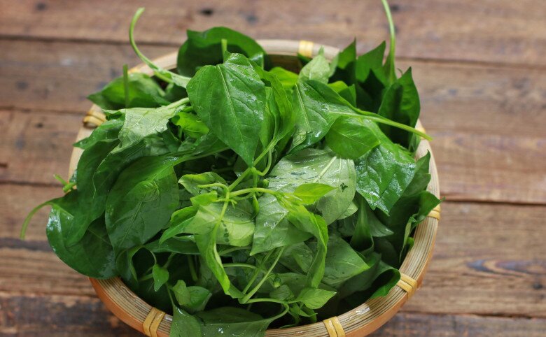 Lá này canxi gấp 2 lần sữa, nấu canh rất ngon, giúp bổ tỳ, tiêu sưng lại thanh mát ngay nhưng ít người biết ăn - 2
