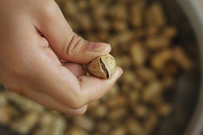 Cracked peanut shells