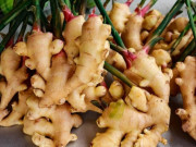 Bếp Eva - Gừng mua về rất nhanh héo hoặc teo tóp, mọc mầm, nhưng nhúng vào nước này rồi bảo quản, nửa năm sau vẫn tươi