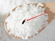 Bếp Eva - Gạo mua về chẳng may bị mọt, thử ngay 4 mẹo này, chỉ cần đặt một chút vào bao gạo, sâu bọ chạy sạch không còn con nào
