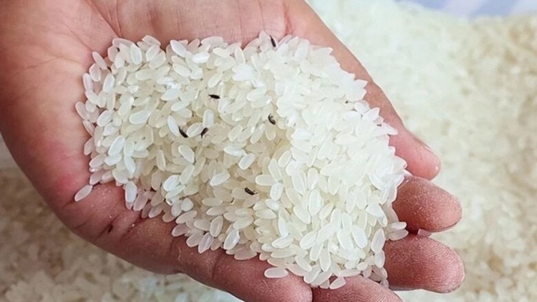 Gạo bị mọt đừng đem phơi nắng nữa, làm gấp 4 mẹo này, mọt không bao giờ xuất hiện - 1