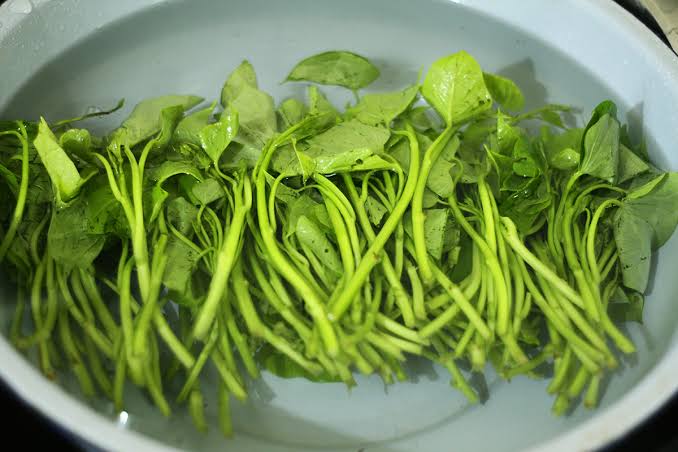 Nhiều người chỉ ăn củ cây này, nhưng phần lá mới là amp;#34;báu vậtamp;#34;, đem xào mẻ ngon như đặc sản - 2