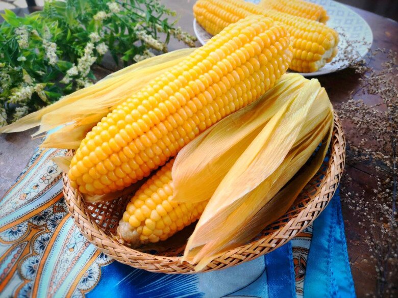 Tại sao ngày càng nhiều người không cho đường khi luộc ngô, thêm thứ này ngô càng mềm ngọt chẳng phải ai cũng biết - 1