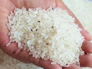 Bếp Eva - Gạo bị mọt đừng đem phơi nắng nữa, làm gấp 4 mẹo này, mọt không bao giờ xuất hiện
