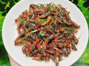 Con này xưa vứt cho gà ăn giờ là đặc sản, có giá hơn 200.000 đồng/kg, đem nấu kiểu này quá tốn bia