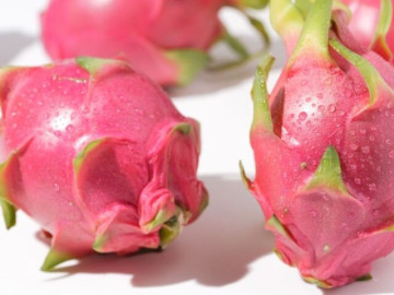 Bếp Eva - Mua thanh long nên chọn quả tròn hay dài thì ngọt, người trồng mách điều này đảm bảo quả ngọt lịm, ăn sướng mê