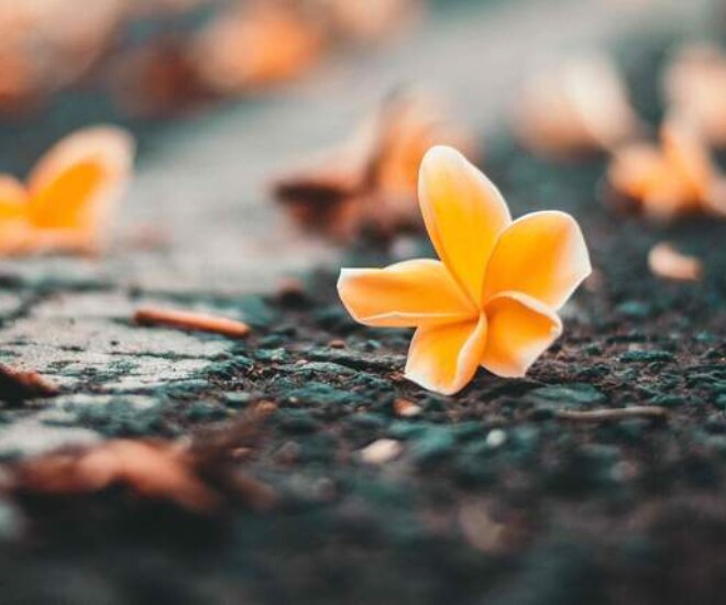 4 kiểu người dễ gặp quý nhân, được nâng đỡ trên đường đời - 1