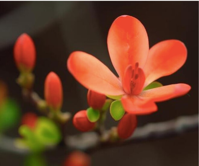 4 kiểu người dễ gặp quý nhân, được nâng đỡ trên đường đời - 2