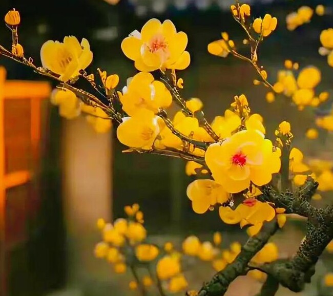 Cách tốt nhất để mang lại sự thịnh vượng cho gia đình gói gọn trong 2 từ - 2