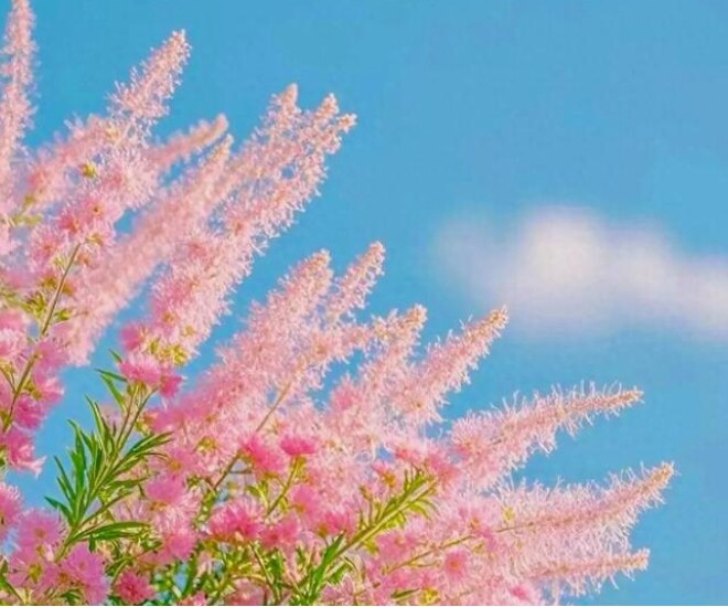 Cách tốt nhất để mang lại sự thịnh vượng cho gia đình gói gọn trong 2 từ - 1